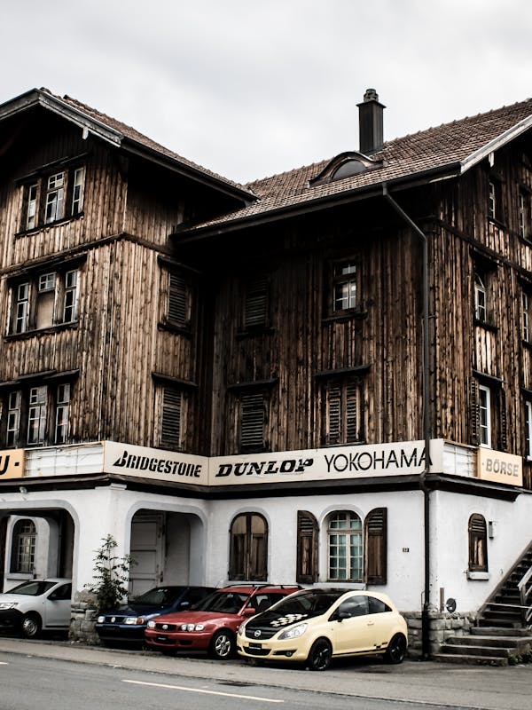 Freesia Relaxed Cotton Tee